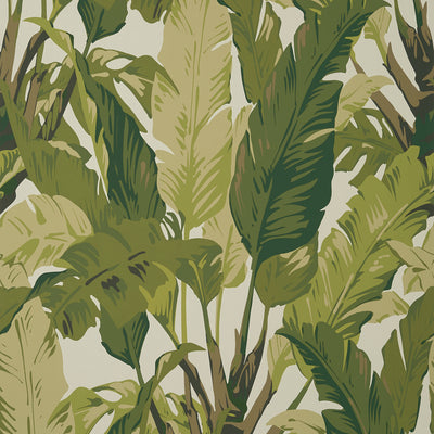 Thibaut Design wallcovering, Travelers Palm pattern , Emerald color, Leaves,Tropical style type , pattern number  T10131