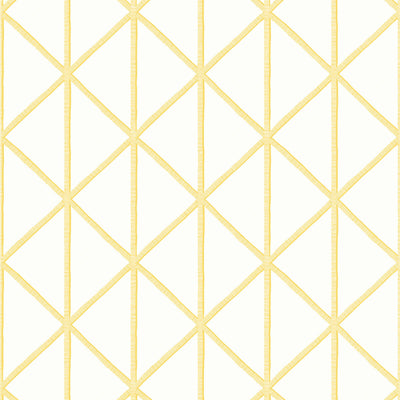 THIBAUT WALLCOVERING-BOX KITE- T10136