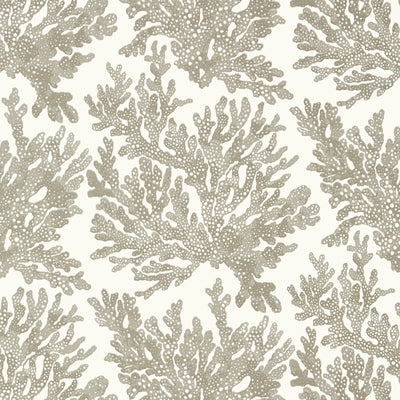 Thibaut Design wallcovering, Marine Coral pattern , Metallic Silver , Beige color, Tropical style type , pattern number  T10140