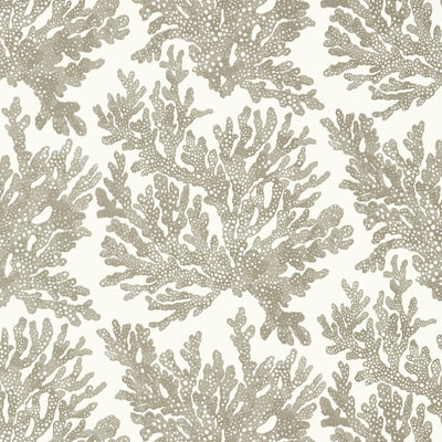 THIBAUT WALLCOVERING-MARINE CORAL- T10140