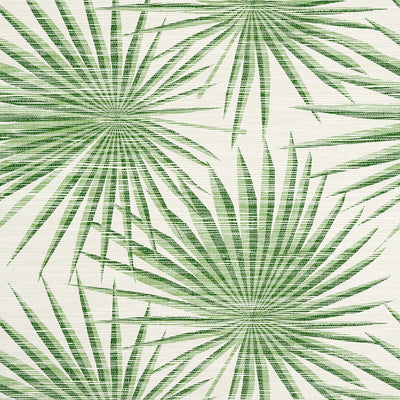 THIBAUT WALLCOVERING-PALM FROND- T10142