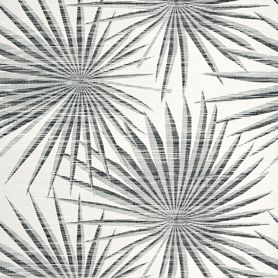 Thibaut Design wallcovering, Palm Frond pattern , Black color, Geometric,Leaves,Medallions,Tropical style type , pattern number  T10145