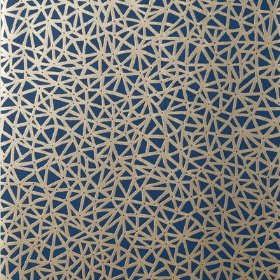 THIBAUT WALLCOVERING-AEDAN- T10406