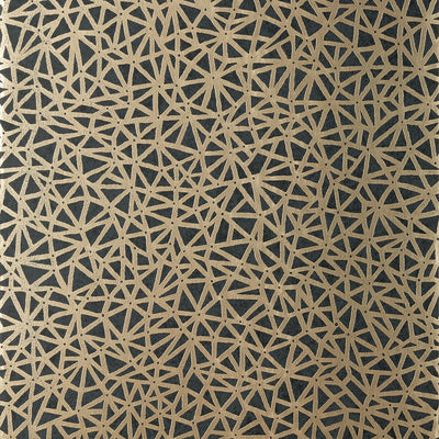 THIBAUT WALLCOVERING-AEDAN- T10408