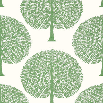 Thibaut Design wallcovering, Mulberry Tree pattern , Green color, Leaves style type , pattern number  T10604