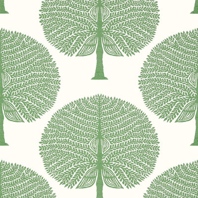THIBAUT WALLCOVERING-MULBERRY TREE- T10604