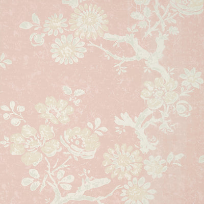 Thibaut Design wallcovering, Claudette pattern , Blush color, Floral style type , pattern number  T10816
