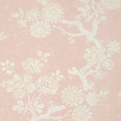 THIBAUT WALLCOVERING-CLAUDETTE- T10816