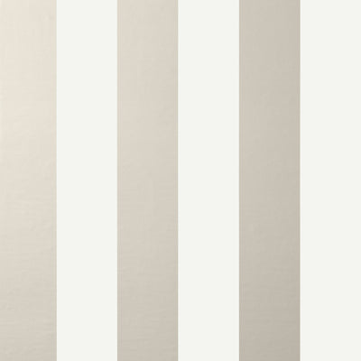 Thibaut Design wallcovering, Summer Stripe pattern , Metallic Pewter color, Stripes style type , pattern number  T13129