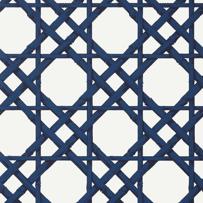 THIBAUT WALLCOVERING-CYRUS CANE- T13139