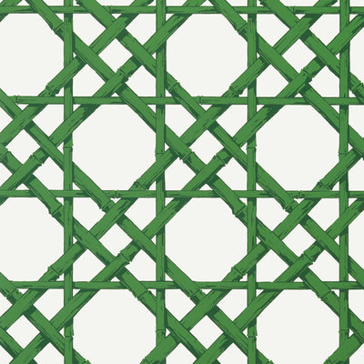 Thibaut Design wallcovering, Cyrus Cane pattern , Emerald Green color, Geometric,Trellis , Lattice style type , pattern number  T13140