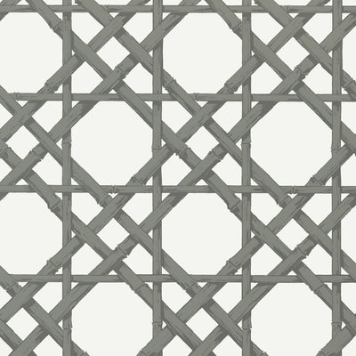 THIBAUT WALLCOVERING-CYRUS CANE- T13141