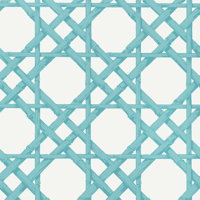 THIBAUT WALLCOVERING-CYRUS CANE- T13143