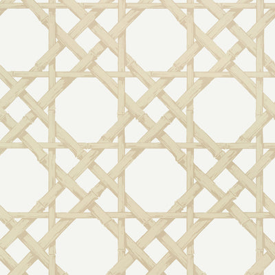THIBAUT WALLCOVERING-CYRUS CANE- T13145