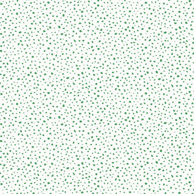 Thibaut Design wallcovering, Sandy Point pattern , Green color, Dots style type , pattern number  T13150
