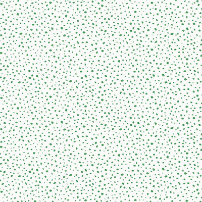 THIBAUT WALLCOVERING-SANDY POINT- T13150
