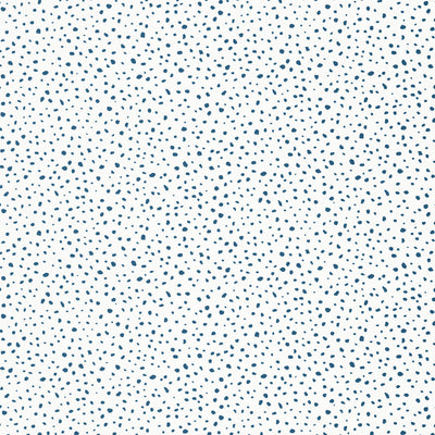 THIBAUT WALLCOVERING-SANDY POINT- T13151