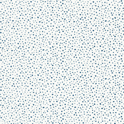 Thibaut Design wallcovering, Sandy Point pattern , Turquoise color, Dots style type , pattern number  T13151
