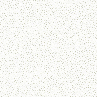 Thibaut Design wallcovering, Sandy Point pattern , Beige color, Dots style type , pattern number  T13155