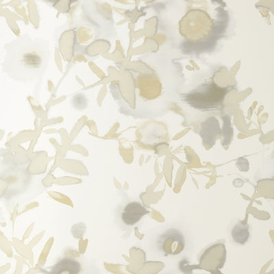Thibaut Design wallcovering, Open Spaces pattern , Cream color, Floral style type , pattern number  T13167