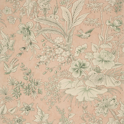 Thibaut Design wallcovering, Rosalind pattern , Blush color, Floral,Leaves,Toile style type , pattern number  T13600