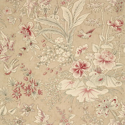 Thibaut Design wallcovering, Rosalind pattern , Beige color, Floral,Leaves,Toile style type , pattern number  T13601