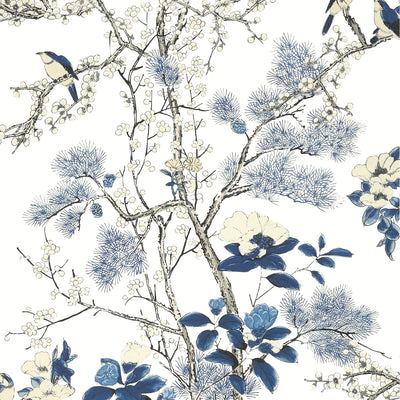 THIBAUT WALLCOVERING-KATSURA- T13619