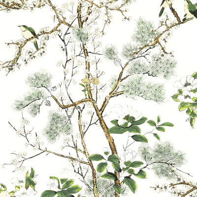 Thibaut Design wallcovering, Katsura pattern , Green color, Birds,Chinoiserie,Floral,Leaves style type , pattern number  T13621