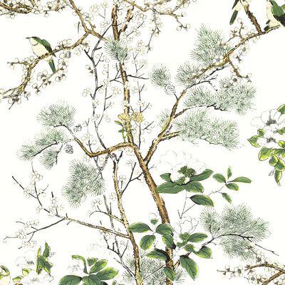 THIBAUT WALLCOVERING-KATSURA- T13621