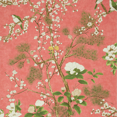 Thibaut Design wallcovering, Katsura pattern , Coral , Black color, Birds,Chinoiserie,Floral,Leaves style type , pattern number  T13624