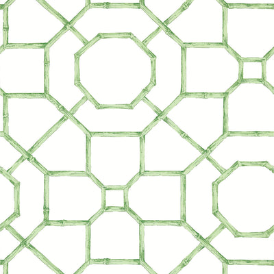 THIBAUT WALLCOVERING-ARBOR- T13674
