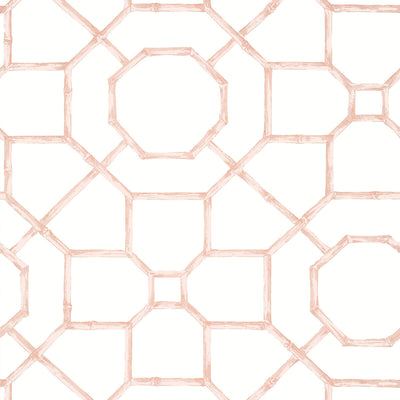 THIBAUT WALLCOVERING-ARBOR- T13676