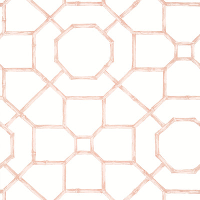 Thibaut Design wallcovering, Arbor pattern , Blush color, Trellis , Lattice style type , pattern number  T13676