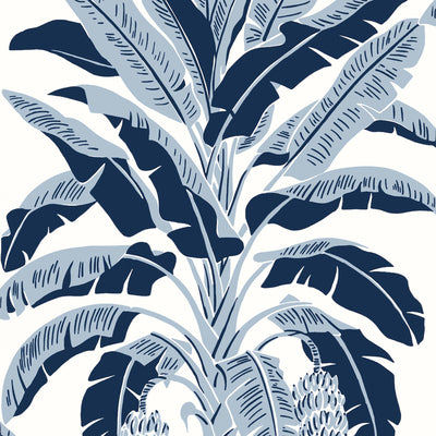 Thibaut Design wallcovering, Banana Tree pattern , Spa Blue color, Leaves,Novelty,Tropical style type , pattern number  T13915