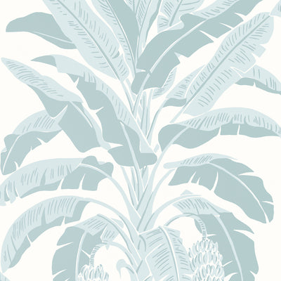 Thibaut Design wallcovering, Banana Tree pattern , Blue color, Leaves,Novelty,Tropical style type , pattern number  T13916