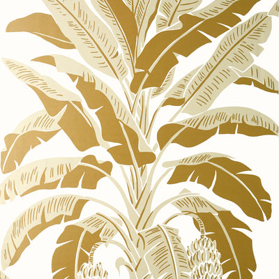 Thibaut Design wallcovering, Banana Tree pattern , Metallic Gold color, Leaves,Novelty,Tropical style type , pattern number  T13919