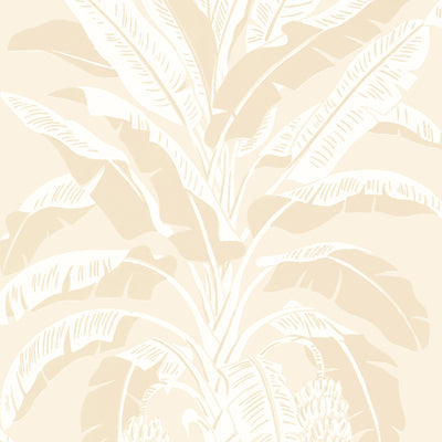 Thibaut Design wallcovering, Banana Tree pattern , Beige color, Leaves,Novelty,Tropical style type , pattern number  T13920