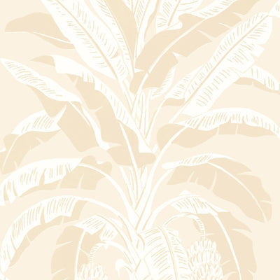 THIBAUT WALLCOVERING-BANANA TREE- T13920