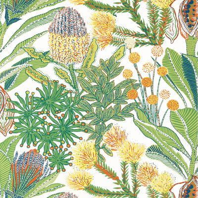 Thibaut Design wallcovering, Protea pattern , Multi color, Floral,Leaves,Tropical style type , pattern number  T13921