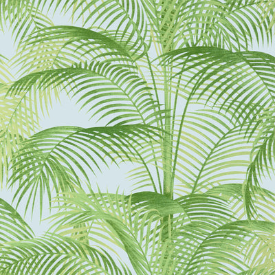 Thibaut Design wallcovering, Delray pattern , Sage color, Leaves,Tropical style type , pattern number  T13937