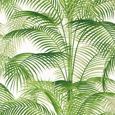 Thibaut Design wallcovering, Delray pattern , Green , Blue color, Leaves,Tropical style type , pattern number  T13938