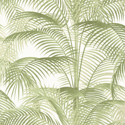 Thibaut Design wallcovering, Delray pattern , Apple Green color, Leaves,Tropical style type , pattern number  T13939