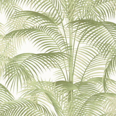THIBAUT WALLCOVERING-DELRAY- T13939
