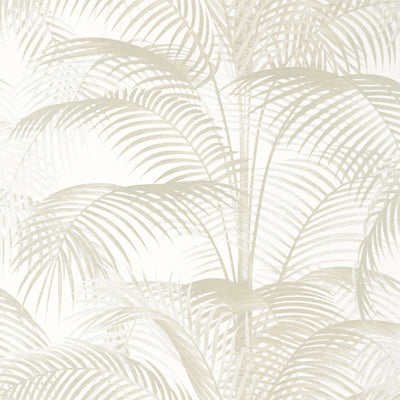 Thibaut Design wallcovering, Delray pattern , Off White color, Leaves,Tropical style type , pattern number  T13941