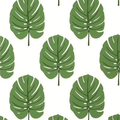 Thibaut Design wallcovering, Monstera pattern , Green , Blue color, Leaves,Tropical style type , pattern number  T13952