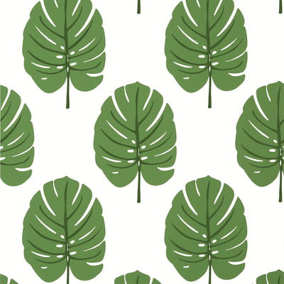 THIBAUT WALLCOVERING-MONSTERA- T13952