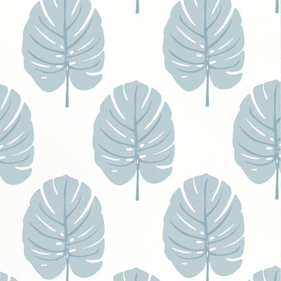 Thibaut Design wallcovering, Monstera pattern , Navy color, Leaves,Tropical style type , pattern number  T13954