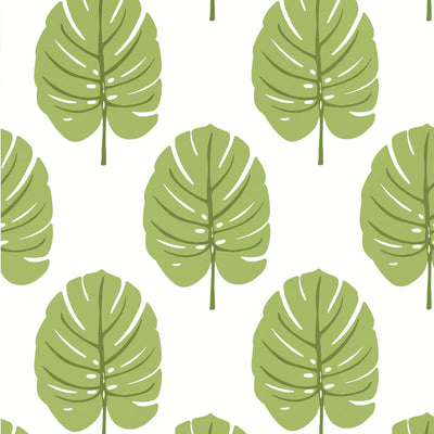 THIBAUT WALLCOVERING-MONSTERA- T13955