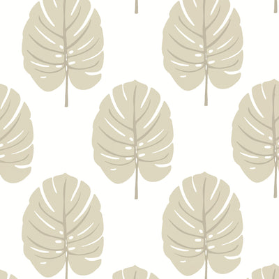 THIBAUT WALLCOVERING-MONSTERA- T13956