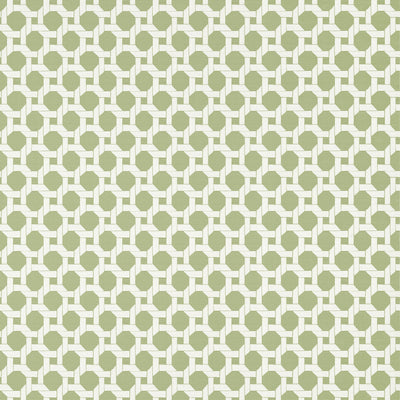 Thibaut Design wallcovering, Charter pattern , Green color, Geometric,Tropical style type , pattern number  T13959
